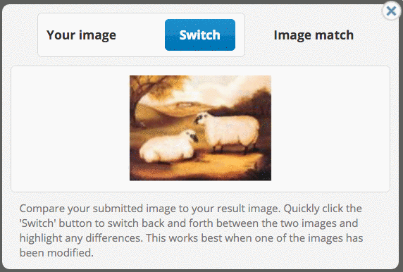 Featured image of post Tineye Reverse Image Search
