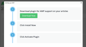 Download the Automattic AMP plugin right from PageFrog