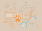 Technical-SEO-Grew-Total-Indexed-Pages